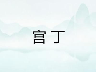 宫丁