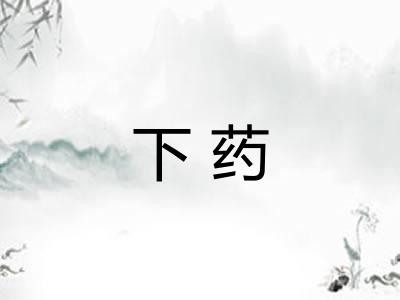 下药 下药