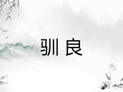 驯良