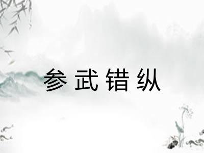 参武错纵