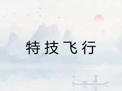 特技飞行
