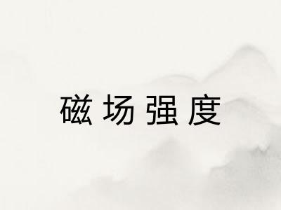 磁场强度