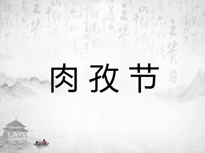 肉孜节 肉孜节