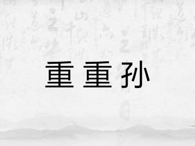 重重孙