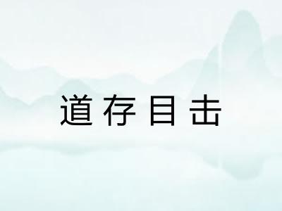 道存目击