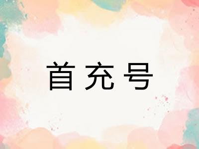 首充号