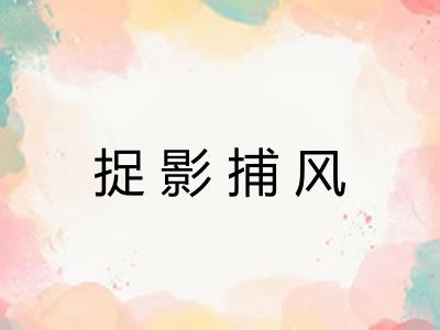 捉影捕风