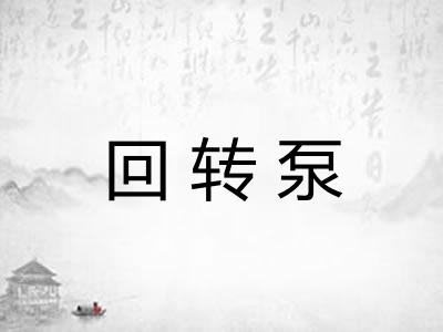 回转泵