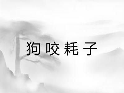狗咬耗子