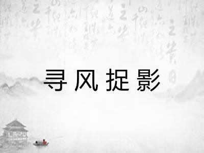 寻风捉影 寻风捉影