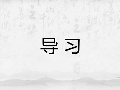 导习