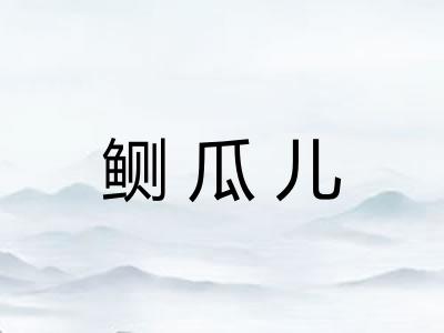 鲗瓜儿 鲗瓜儿