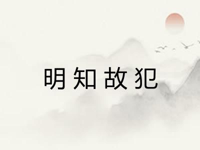 明知故犯