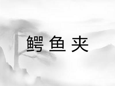 鳄鱼夹