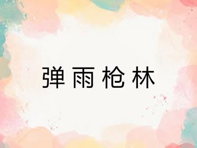 弹雨枪林 弹雨枪林