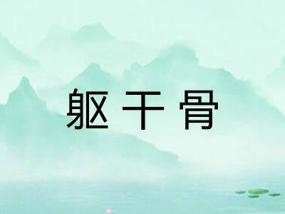 躯干骨