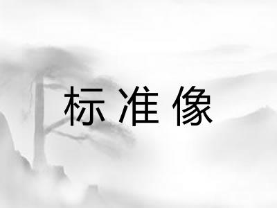 标准像 标准像
