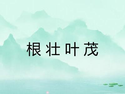根壮叶茂