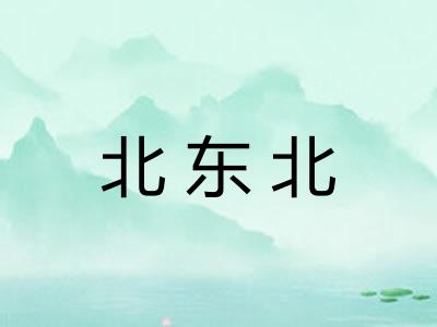 北东北