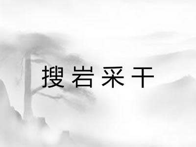 搜岩采干