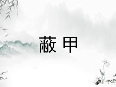 蔽甲