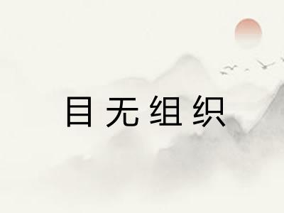 目无组织