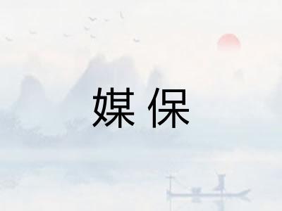 媒保