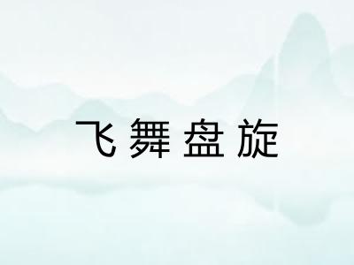 飞舞盘旋