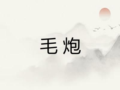 毛炮