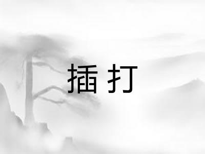 插打