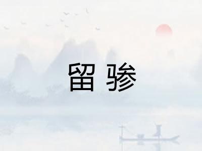 留骖
