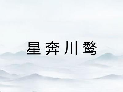 星奔川鹜