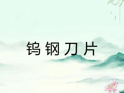 钨钢刀片