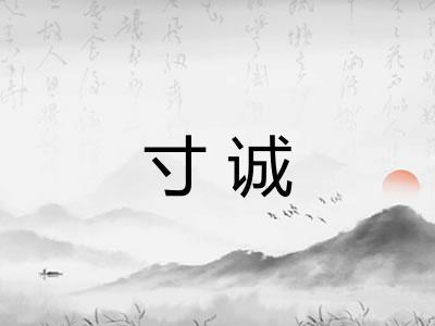 寸诚
