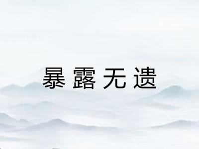 暴露无遗