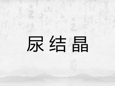 尿结晶