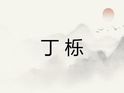 丁栎