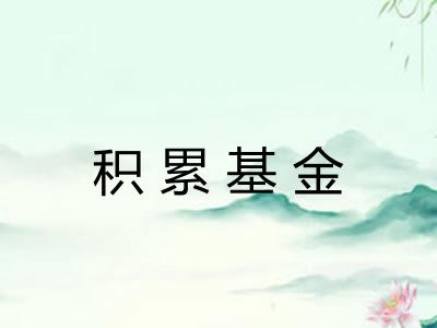 积累基金