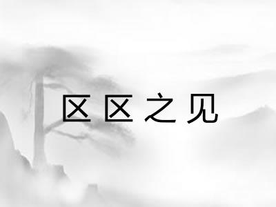 区区之见