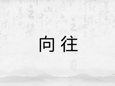 向往