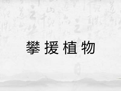 攀援植物
