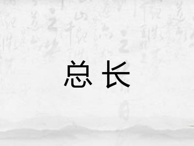 总长