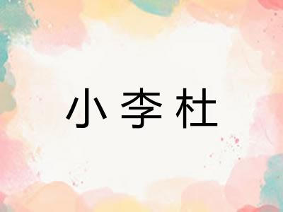 小李杜