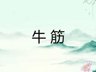 牛筋