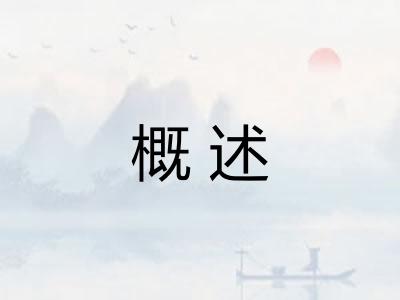概述 概述