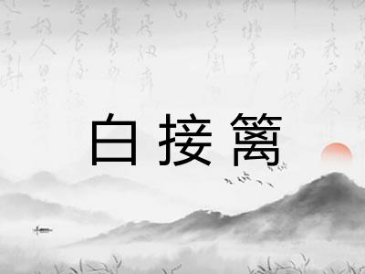 白接篱