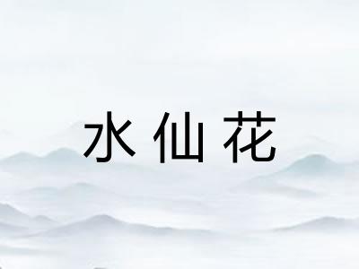 水仙花 水仙花
