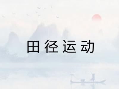 田径运动 田径运动