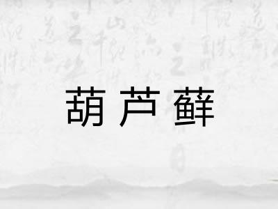 葫芦藓