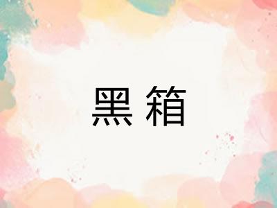 黑箱